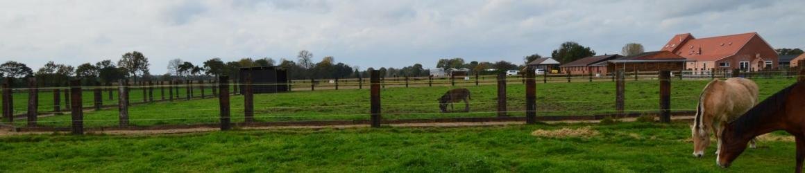 Zorgboerderij Megusta